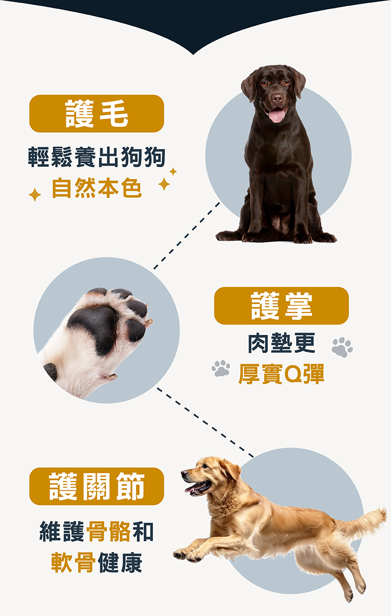 犬concord wealth大型犬短毛種 14個 特調幼犬成長配方(雞肉+糙米) | 產品介紹| Blackwood 柏萊富天然寵糧